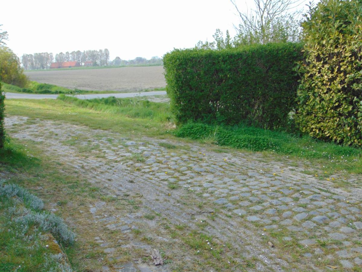 Polderhuis Voor 8-10 Personen Aan Zee Ньїввліт Екстер'єр фото